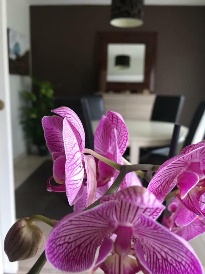 Nano House Apartment Begles Bagian luar foto